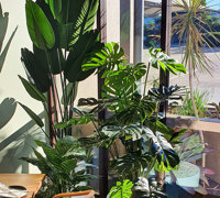 Green-Style finishes off stunning Club extension...