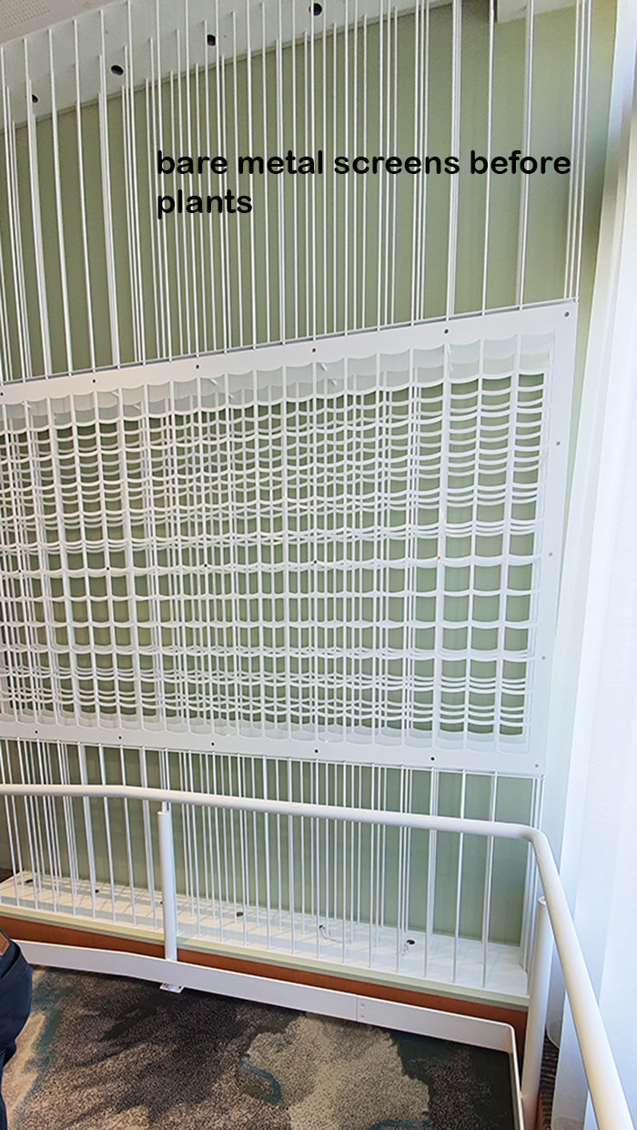 Green-Style finishes off stunning Club extension...