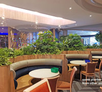 Football Clubhouse uses artificial greenery to set-off beautiful custom-built planters