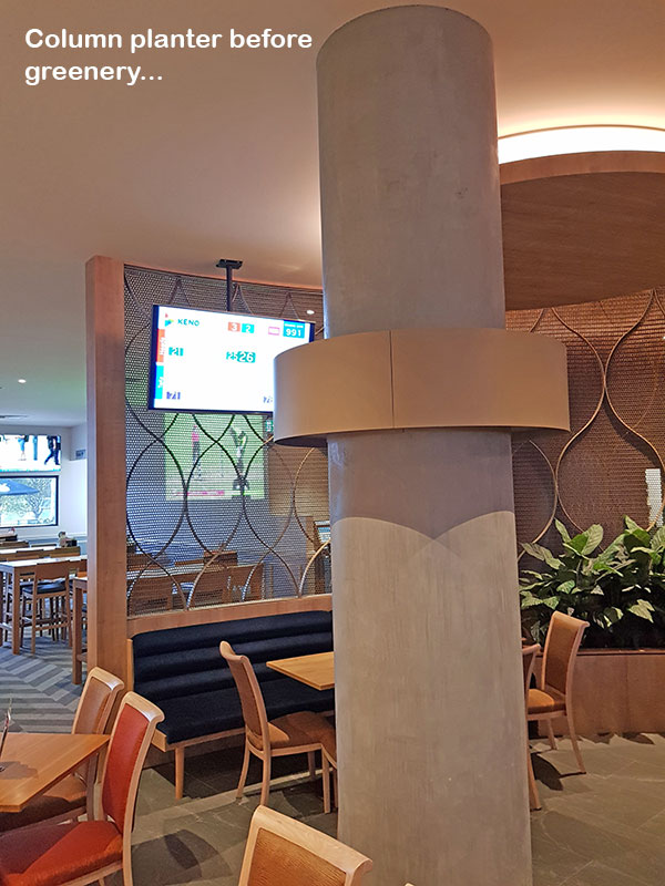 Football Clubhouse uses artificial greenery to set-off beautiful custom-built planters