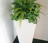 Assorted office planters with matching greenery mixes...