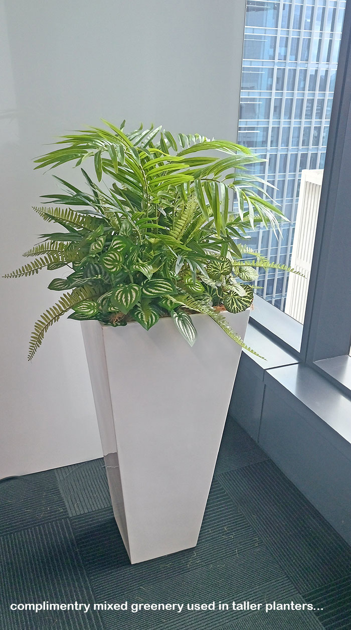 Assorted office planters with matching greenery mixes...