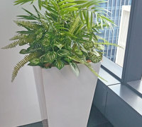 Assorted office planters with matching greenery mixes...