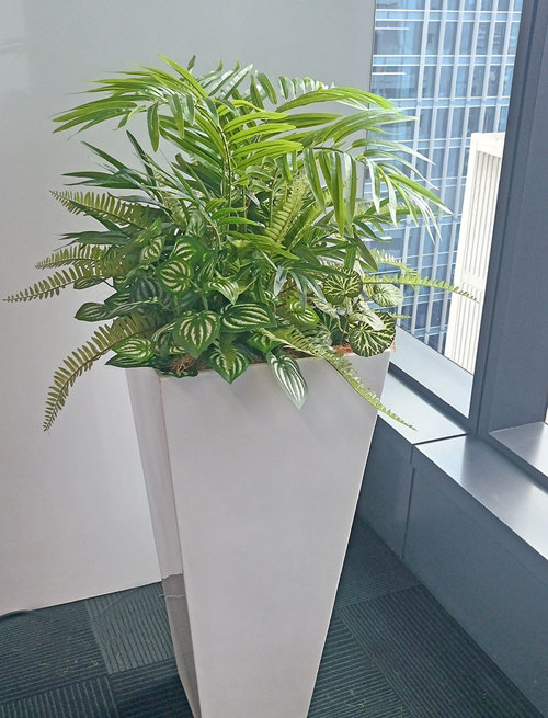 Assorted office planters with matching greenery mixes...