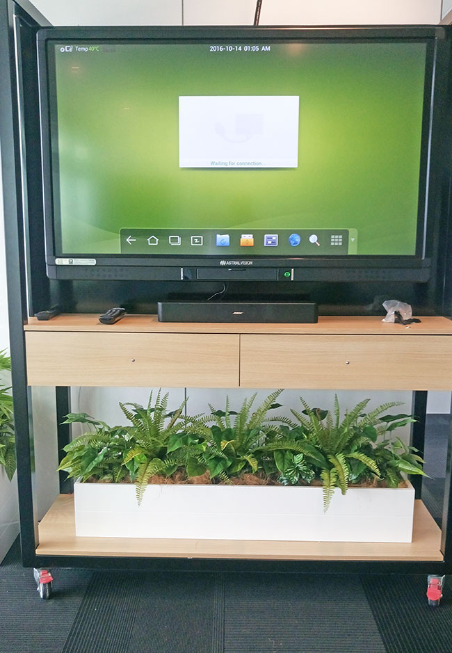 Assorted office planters with matching greenery mixes...