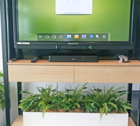Assorted office planters with matching greenery mixes...