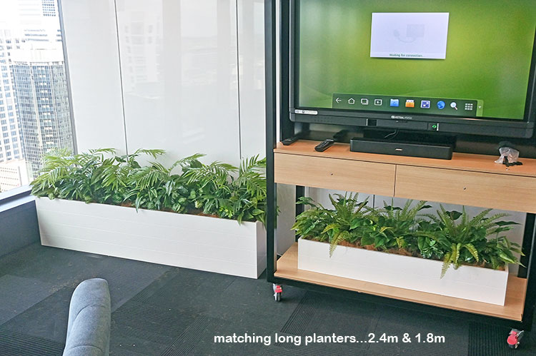 Assorted office planters with matching greenery mixes...