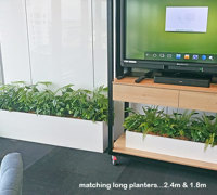 Assorted office planters with matching greenery mixes...