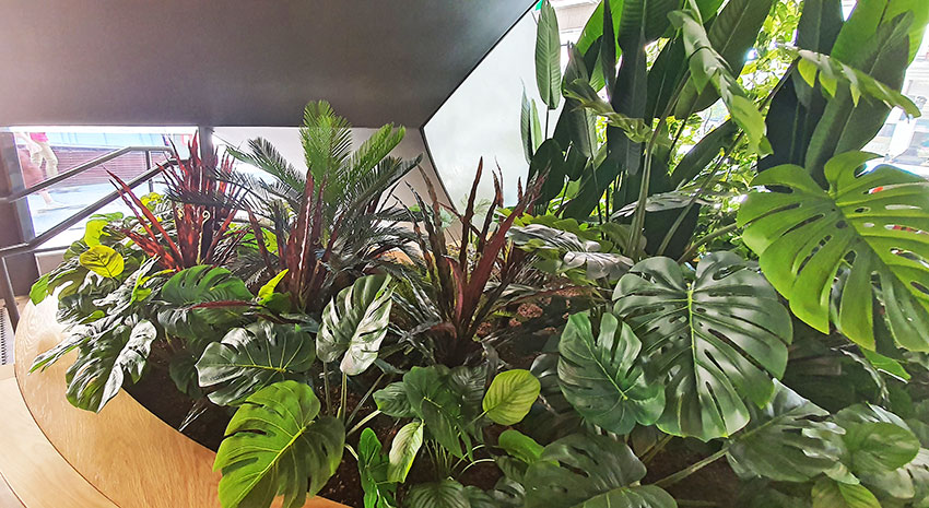 'Screens meet Greens' at flagship tech store...