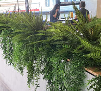 'Screens meet Greens' at flagship tech store...