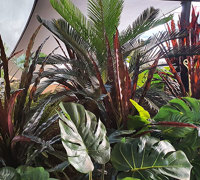 'Screens meet Greens' at flagship tech store...