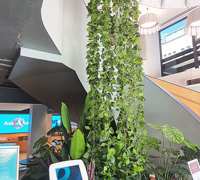 'Screens meet Greens' at flagship tech store...