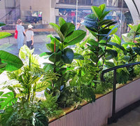 'Screens meet Greens' at flagship tech store...