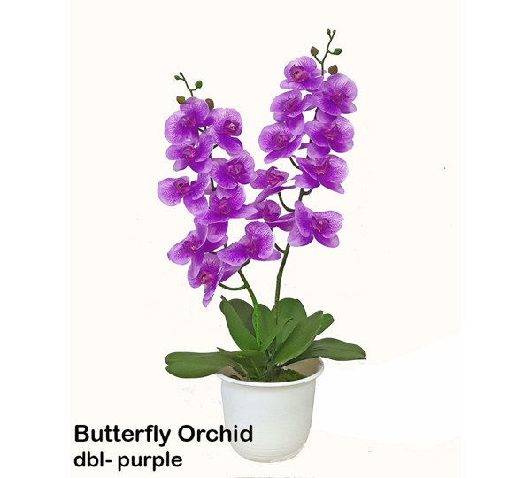 Artificial Butterfly Orchid Bowls- purple