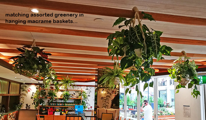 Window-Box planters in Restaurant