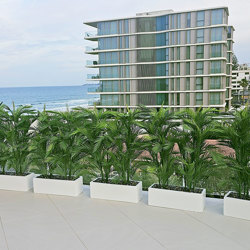 Trough Planters- with UV Parlour Palms 1.6m - artificial plants, flowers & trees - image 6