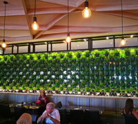Green Plants in shelves as a room divider