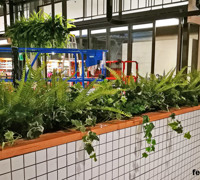 Shopping Mall- various greenery