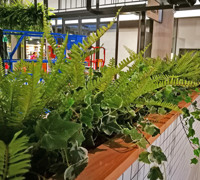 Shopping Mall- various greenery