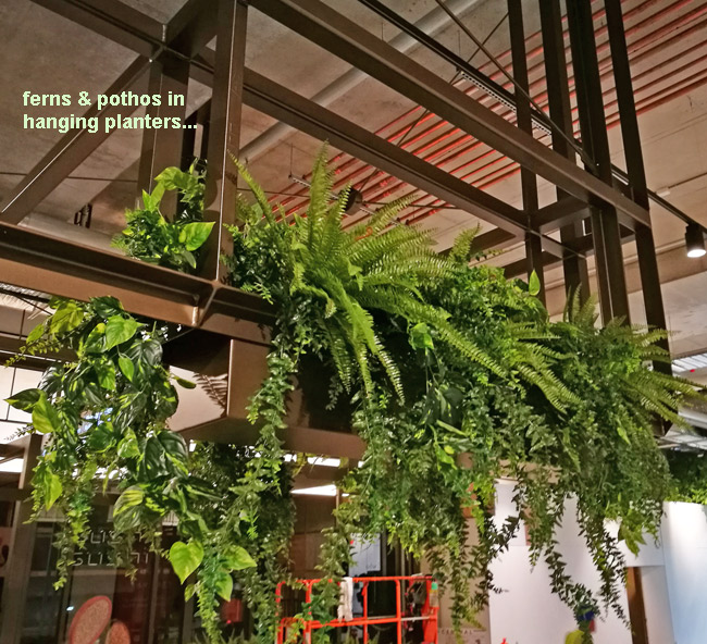 Shopping Mall- various greenery