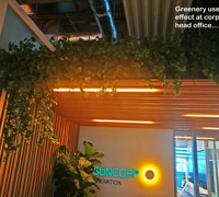 Greenery is TRENDING...