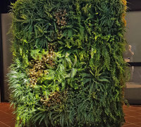 Before & After Shots..... Green-Walls 1