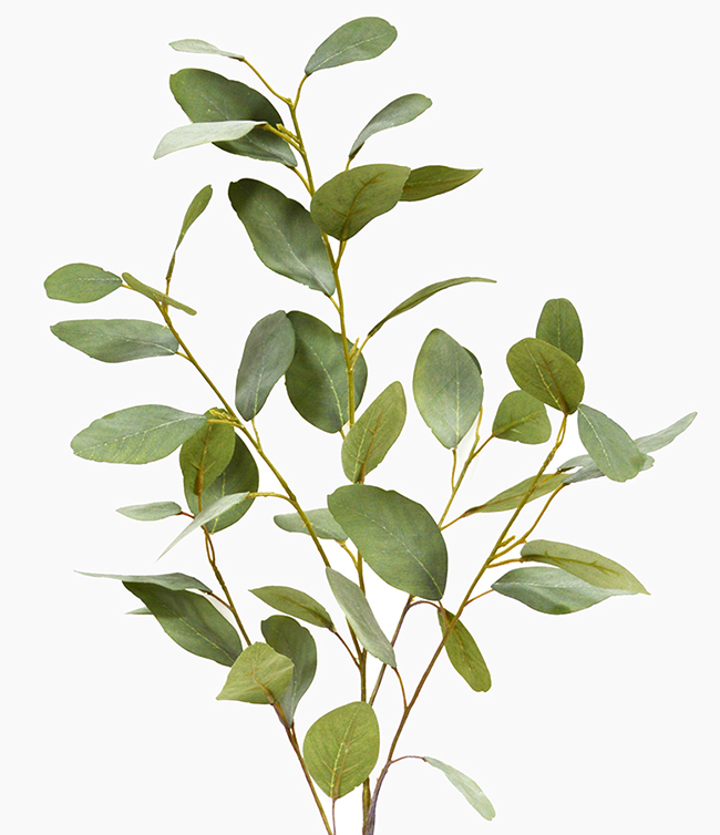 Leaf Sprays- Silver Gums