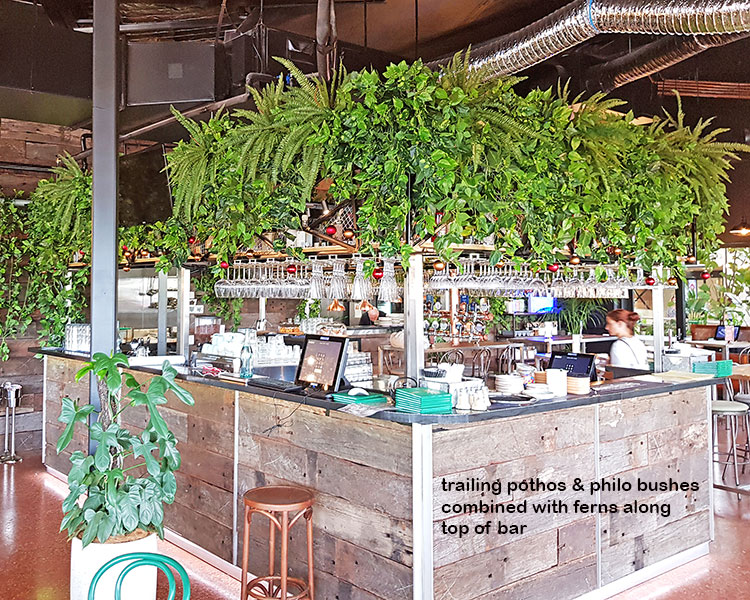 Green-Theme for funky urban bar