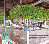 Green-Theme for funky urban bar