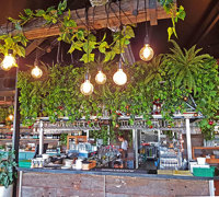 Green-Theme for funky urban bar