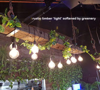 Green-Theme for funky urban bar