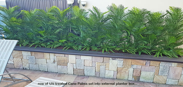 Artificial Palms replace 'dead palms' in external planter...