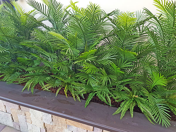 Artificial Palms replace 'dead palms' in external planter...