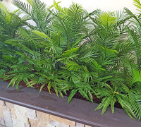 Artificial Palms replace 'dead palms' in external planter...
