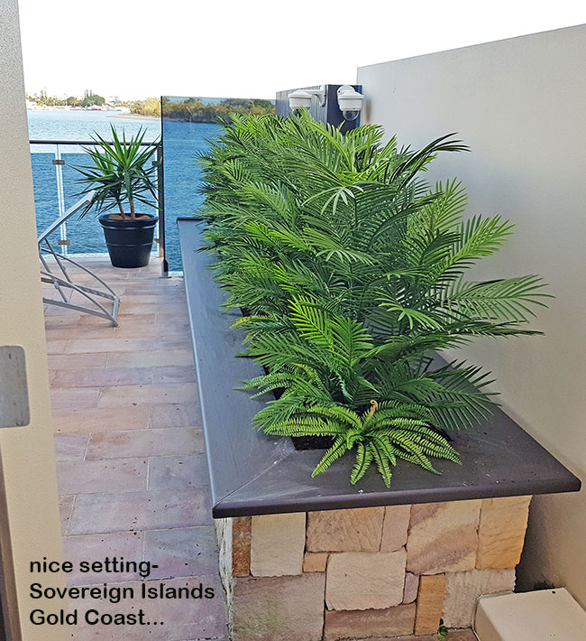 Artificial Palms replace 'dead palms' in external planter...
