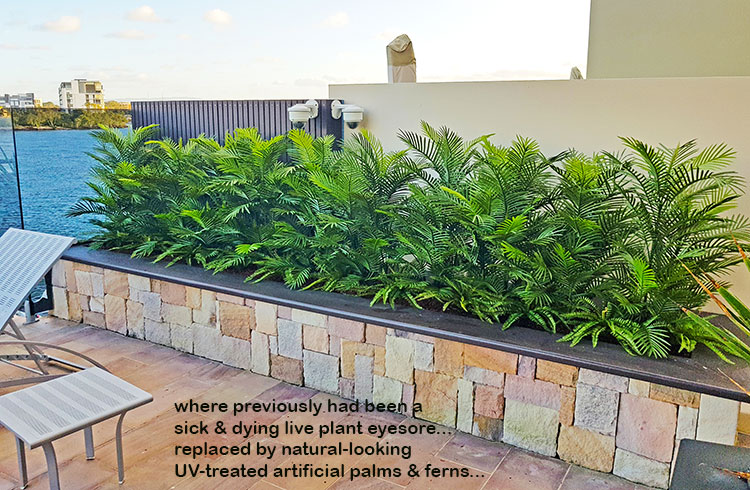 Artificial Palms replace 'dead palms' in external planter...