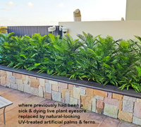 Artificial Palms replace 'dead palms' in external planter...