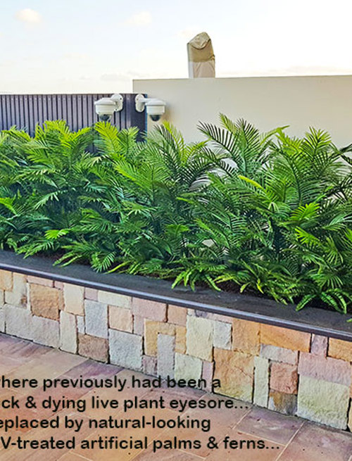 Artificial Palms replace 'dead palms' in external planter...