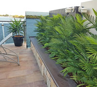 Artificial Palms replace 'dead palms' in external planter...