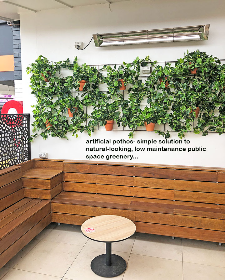 Simple 'Greenification' of Bar area using Vines on wall...
