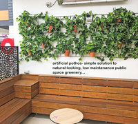 Simple 'Greenification' of Bar area using Vines on wall...