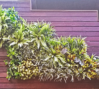 Artificial Green Walls in Shopping Mall