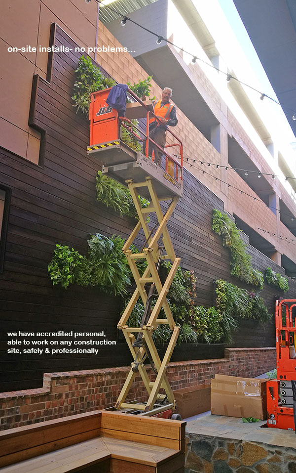 Artificial Green Walls in Shopping Mall