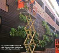 Artificial Green Walls in Shopping Mall
