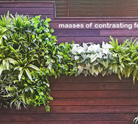 Artificial Green Walls in Shopping Mall
