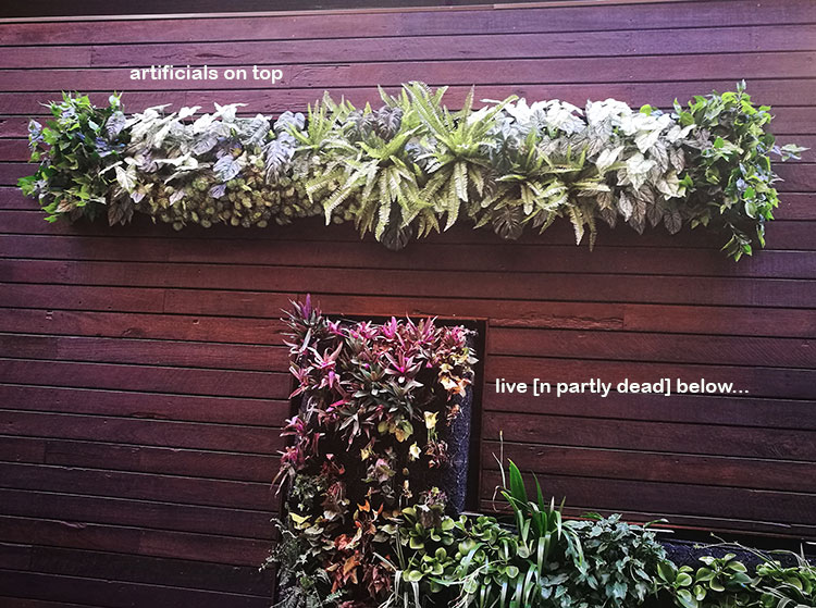 Artificial Green Walls in Shopping Mall