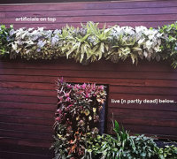 Artificial Green Walls in Shopping Mall