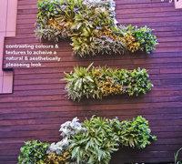 Artificial Green Walls in Shopping Mall