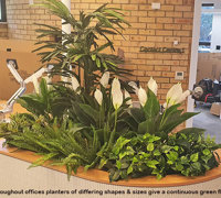 New offices with a green shine...