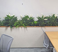 New offices with a green shine...